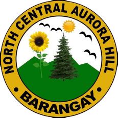 North Central Aurora Hill Map .